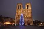 notre-dame-front-christmas-tree
