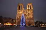 paris at christmas notre dame tree