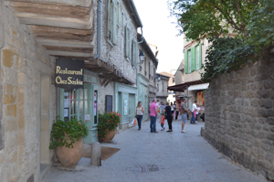 Carcassonne medieval town