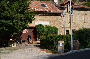 Miel by local bees for sale